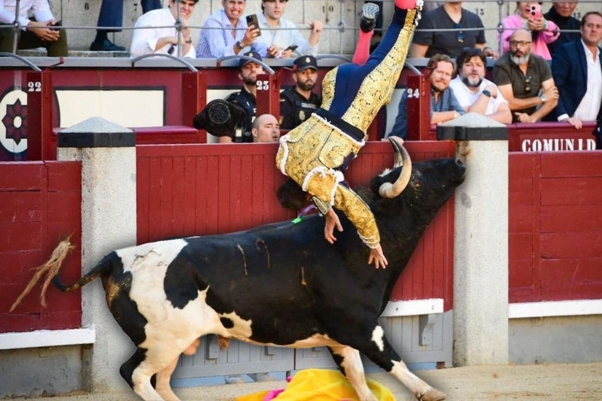 Torero español es corneado y termina de urgencia en el hospital