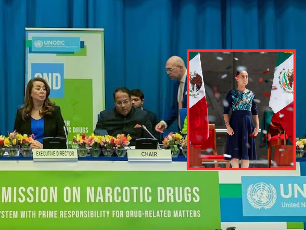 "Es demasiado pronto para festejar", señaló Cart Weiland, refiriéndose a la crisis de violencia en México. | Crédito: EFE