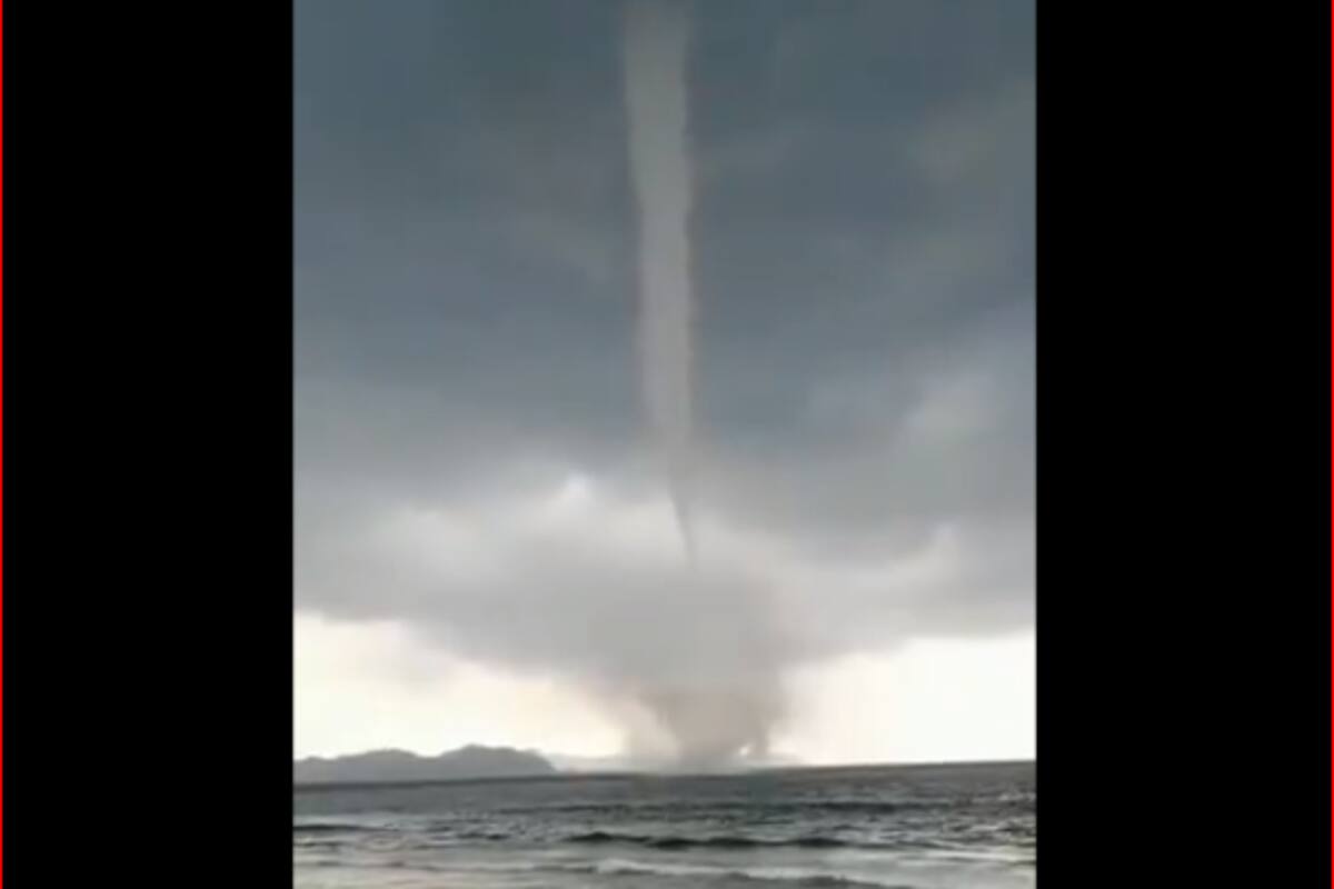 Impresionante culebra de mar se forma en Manzanillo, Colima