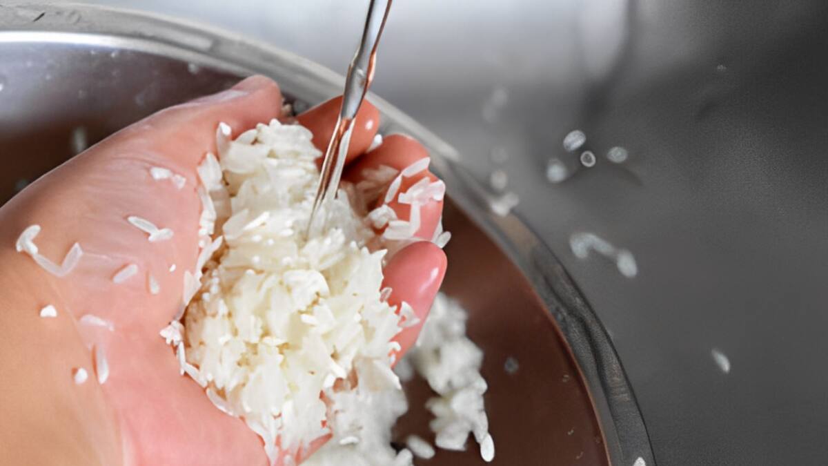Arroz| Foto: iStock