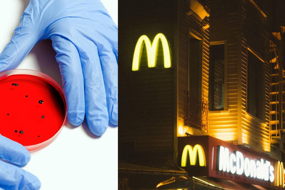 Este fue vegetal usado por Mc Donald’s en EU, culpable del brote de E.Coli en más de 100 personas y la muerte de una