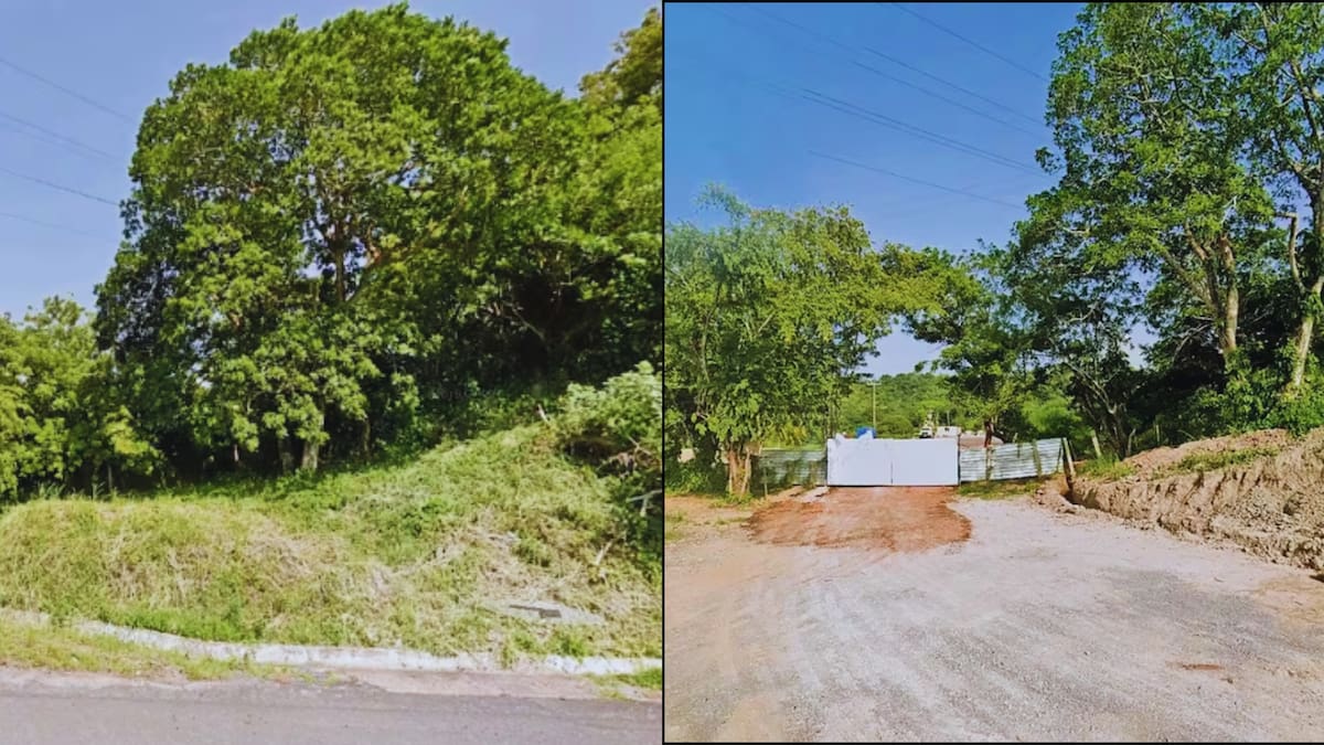 En imágenes de Google Maps, se observa que en agosto de 2017 el predio aún estaba cubierto por árboles y arbustos. Para agosto de 2019, ya había sido deforestado y se apreciaban camiones, equipo industrial y un cerco improvisado con alambres de púas y madera. Foto: Especial (Google Maps)