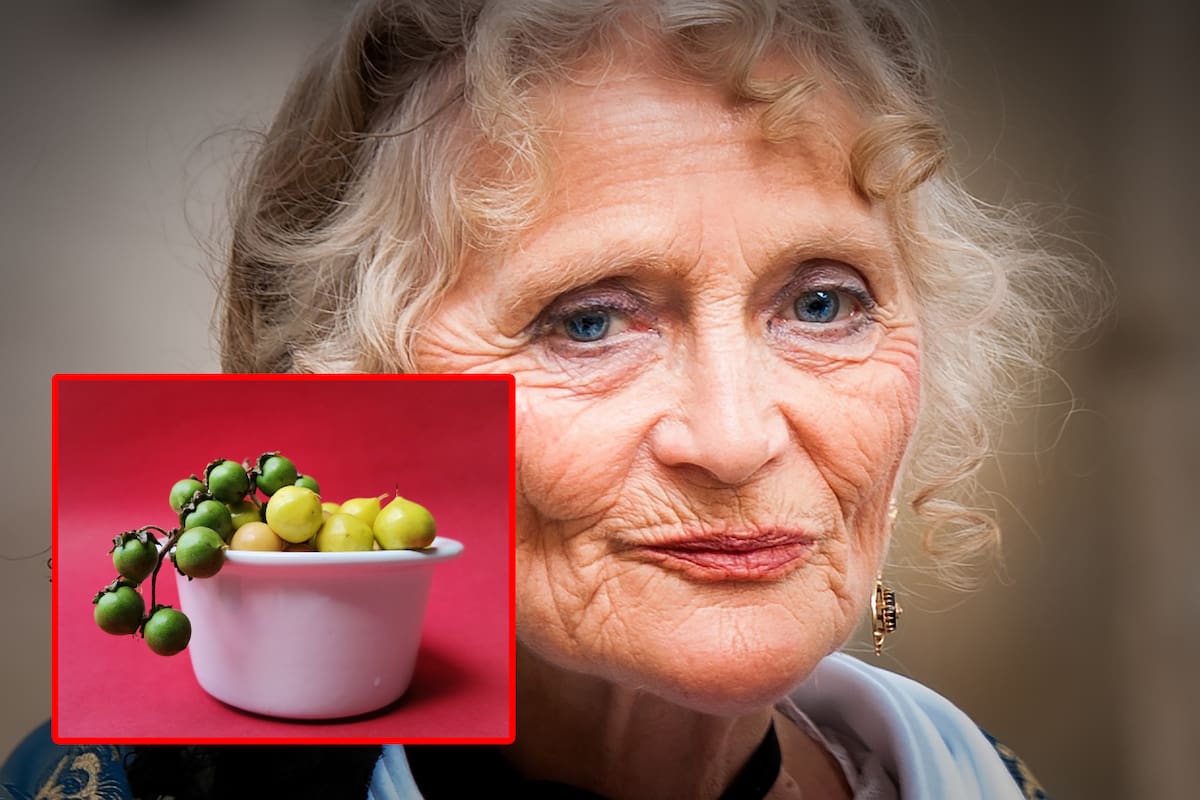 ¿Es verdad que la fruta nanche tiene tanto colágeno que desaparece las arrugas?