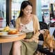 Llevar a tu perro a un lugar pet friendly implica más que permiso: especialistas explican las reglas que debes seguir para evitar riesgos, conflictos y sanciones sociales