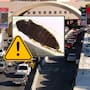 EEUU señaló a México por una “extraña” plaga agrícola que detectó en garita de Nogales, la catalogan como una amenaza potencial