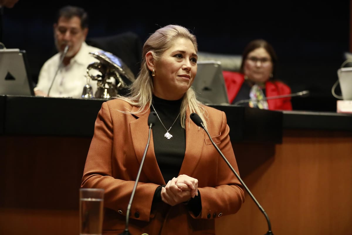 Reforma electoral sigue en revisión y no hay diferencias con partidos aliados, asegura senadora del PVEM