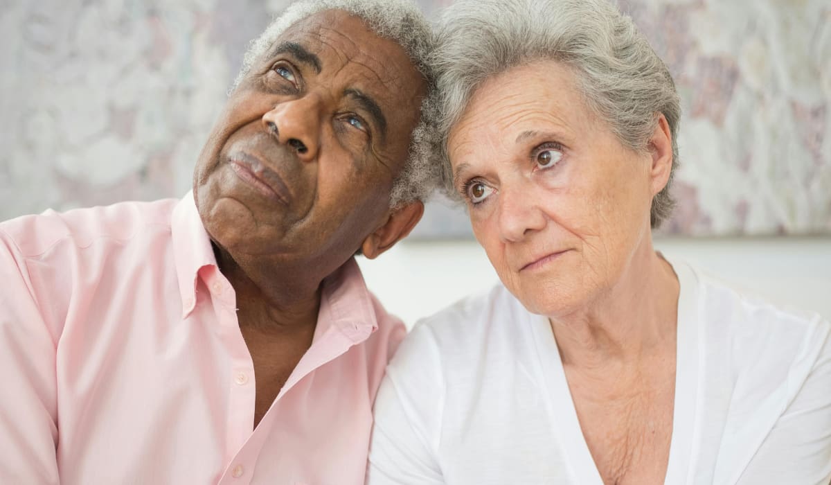 Imagen tomada del sitio oficial de Pexels.