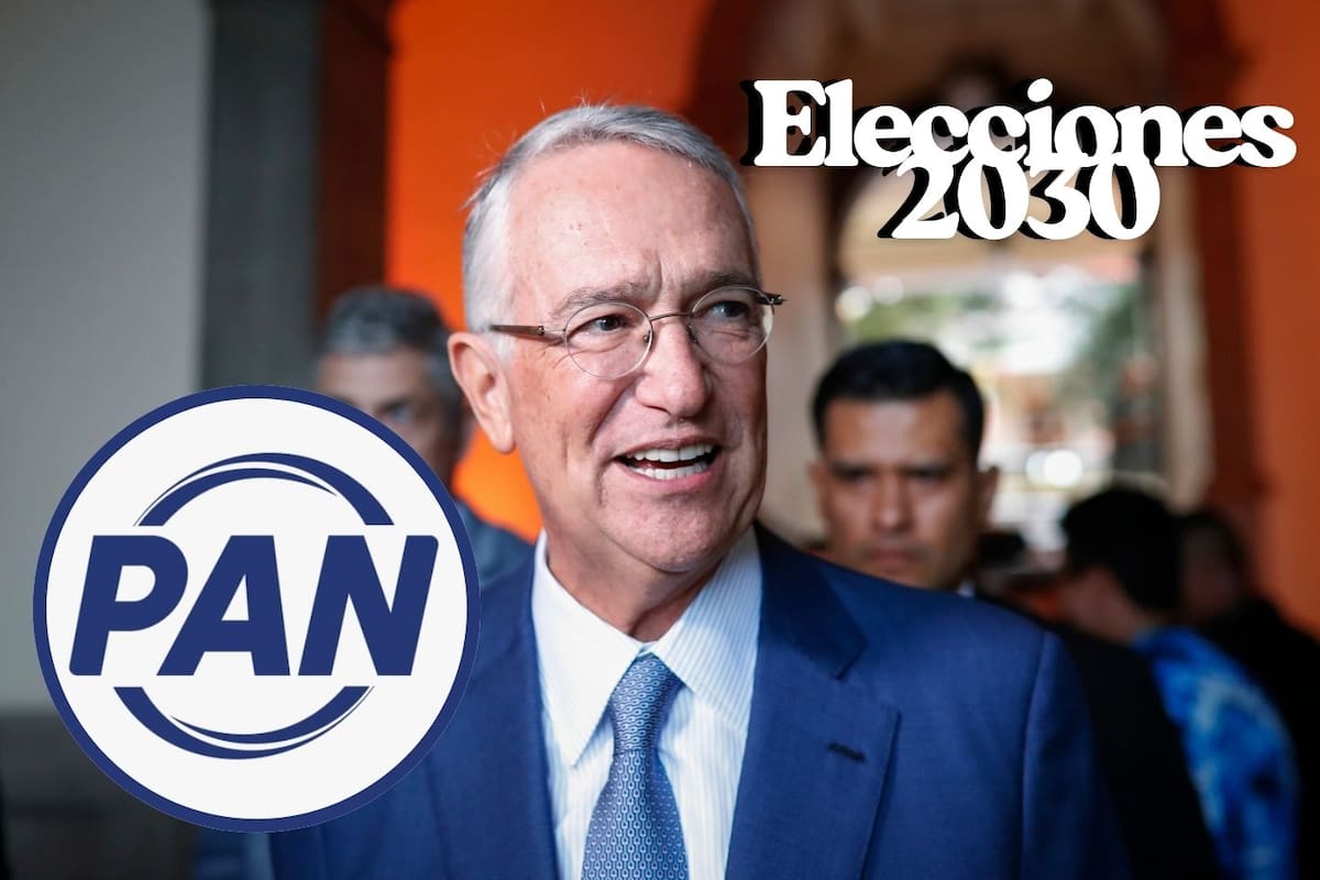 Ricardo Salinas Pliego sería el candidato del PAN para las elecciones 2030 según simpatizantes del partido, ¿cuántas personas apoyan esta idea?