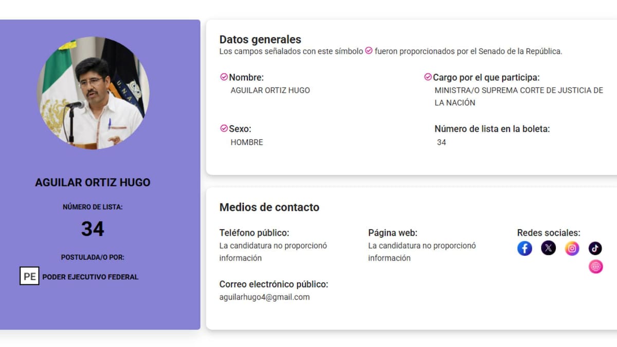 Los comicios para ministro de la Corte han generado amplio interés, dado el perfil de los aspirantes y su influencia futura en el equilibrio de poderes dentro del país. Foto: Capture INE.