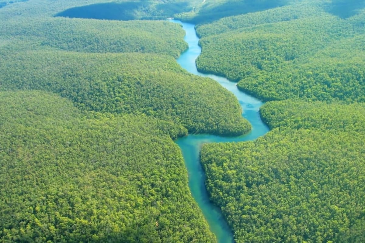 Minerales críticos impulsan la minería ilegal en la Amazonía y elevan riesgos ambientales y sociales