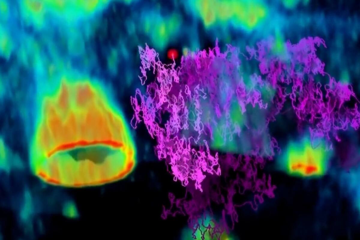 Capturan en 3D y en tiempo real un virus en busca de una célula hospedante