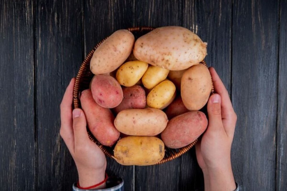 Qué son los tubérculos y por qué deberías incluirlos en tu dieta