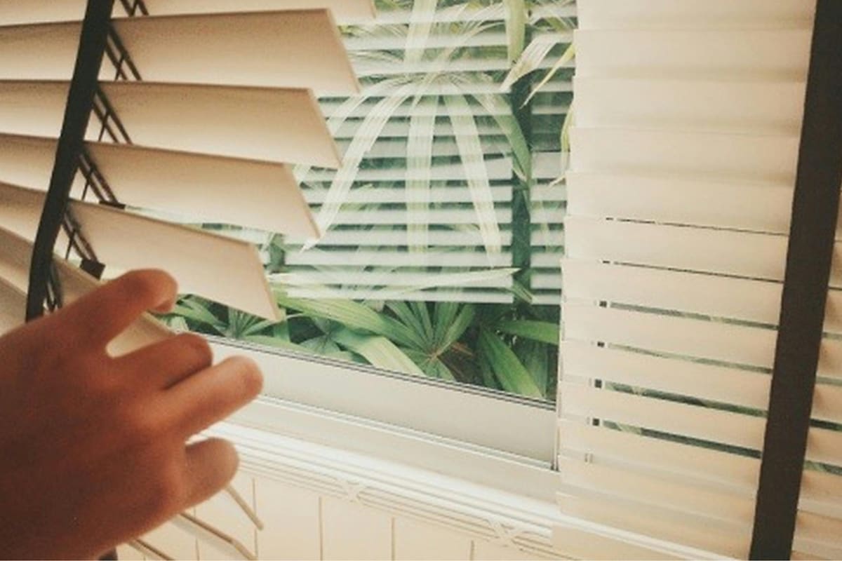 La razón por la que conviene bajar las persianas a las 17:30, según especialistas