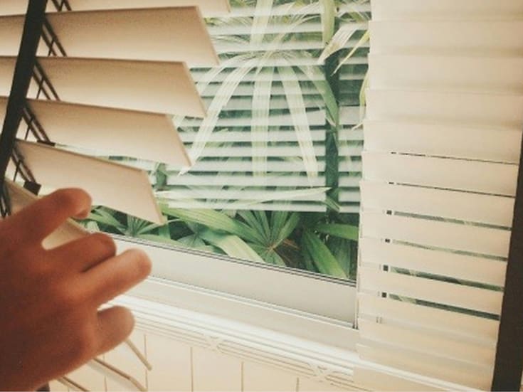 La razón por la que conviene bajar las persianas a las 17:30, según especialistas