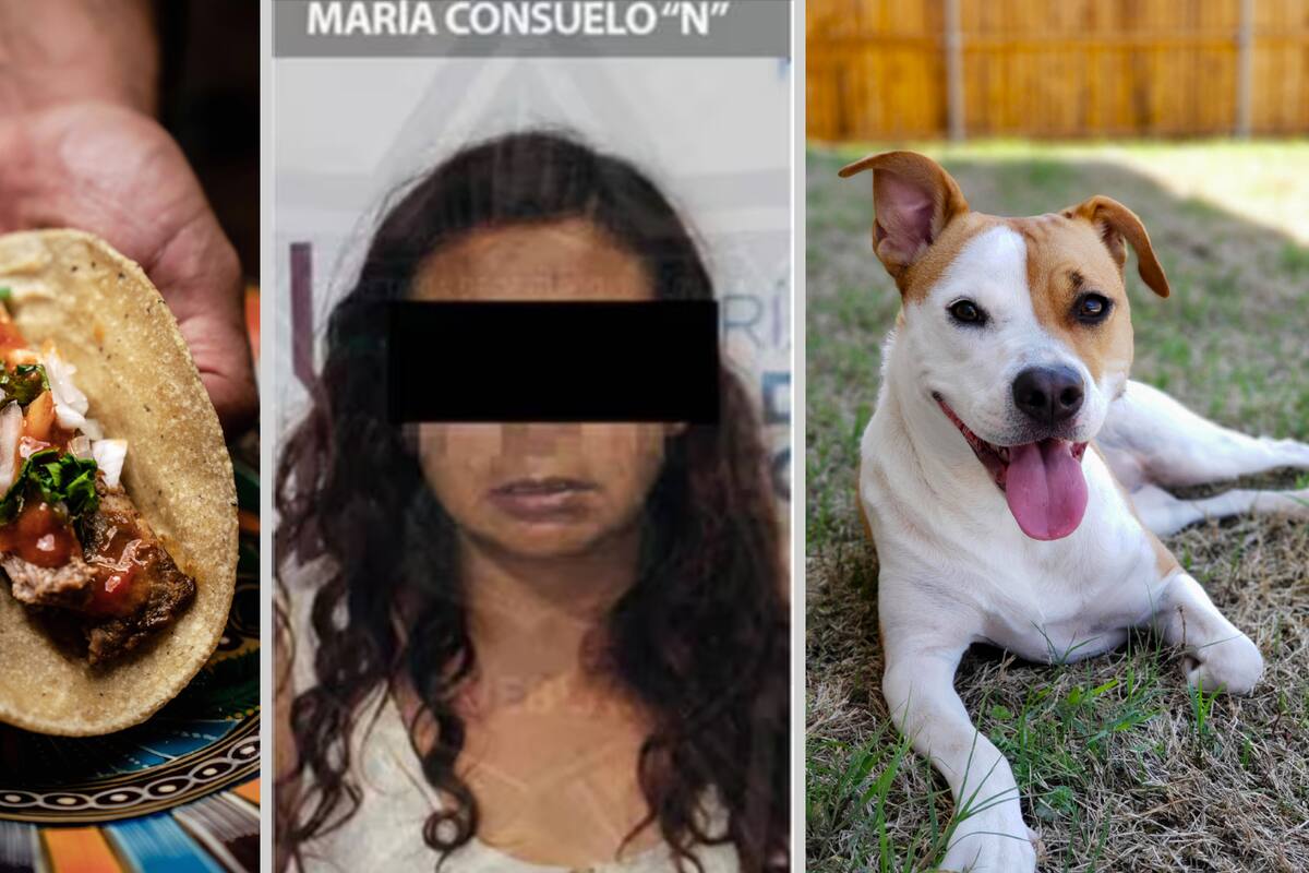 Detenida ‘mataperros’ por vender tacos de perro en Puebla