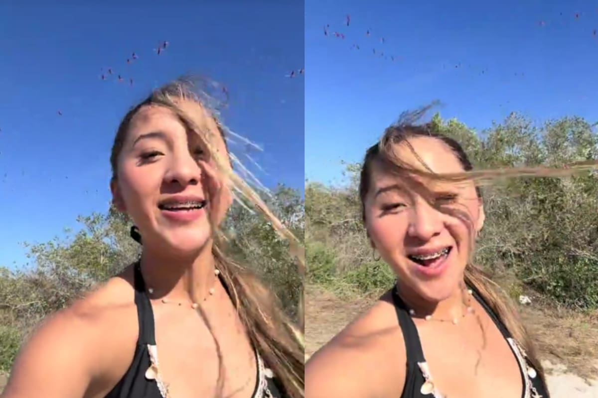 Influencer genera polémica tras espantar flamencos con música de Yeri Mua en humedales de Sisal, Yucatán (VIDEO)