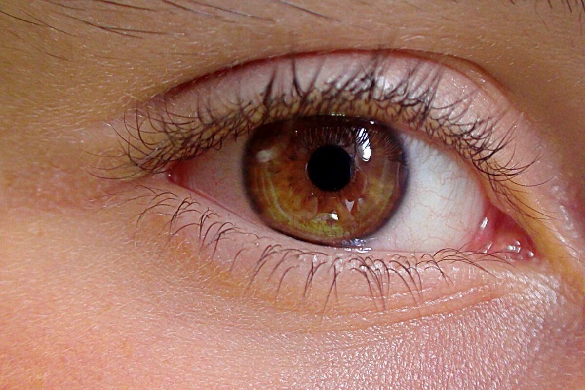 Esta vitamina es esencial para la salud ocular