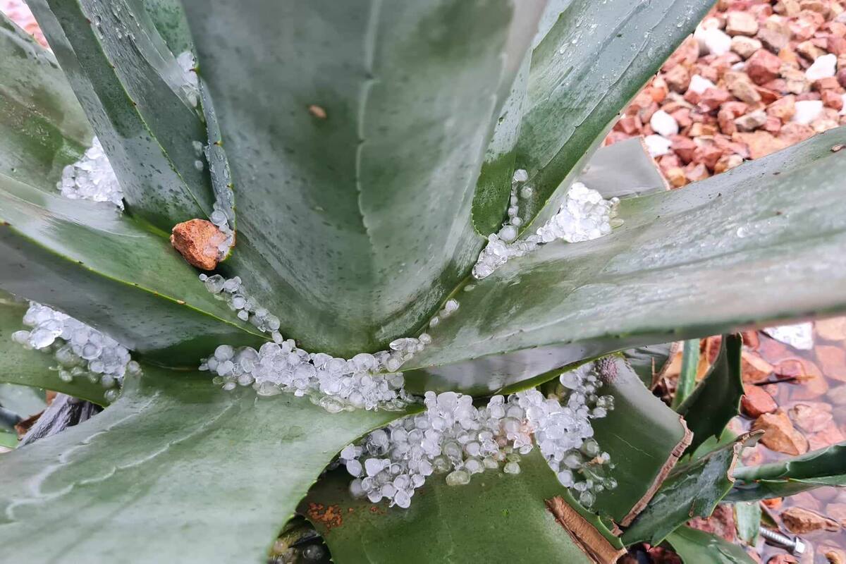 Prevén posible granizada en Sonora y más estados del Norte