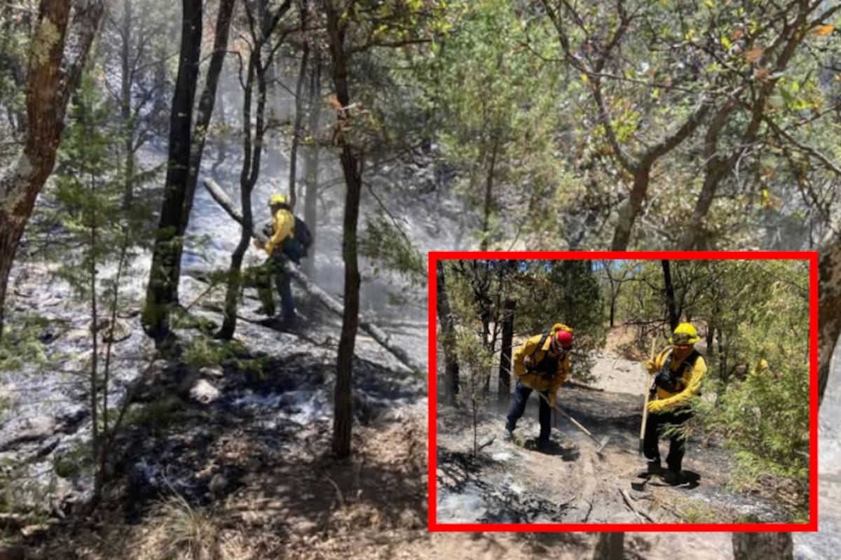 Gobierno de Sonora refuerza acciones contra incendios forestales con apoyo federal y municipal