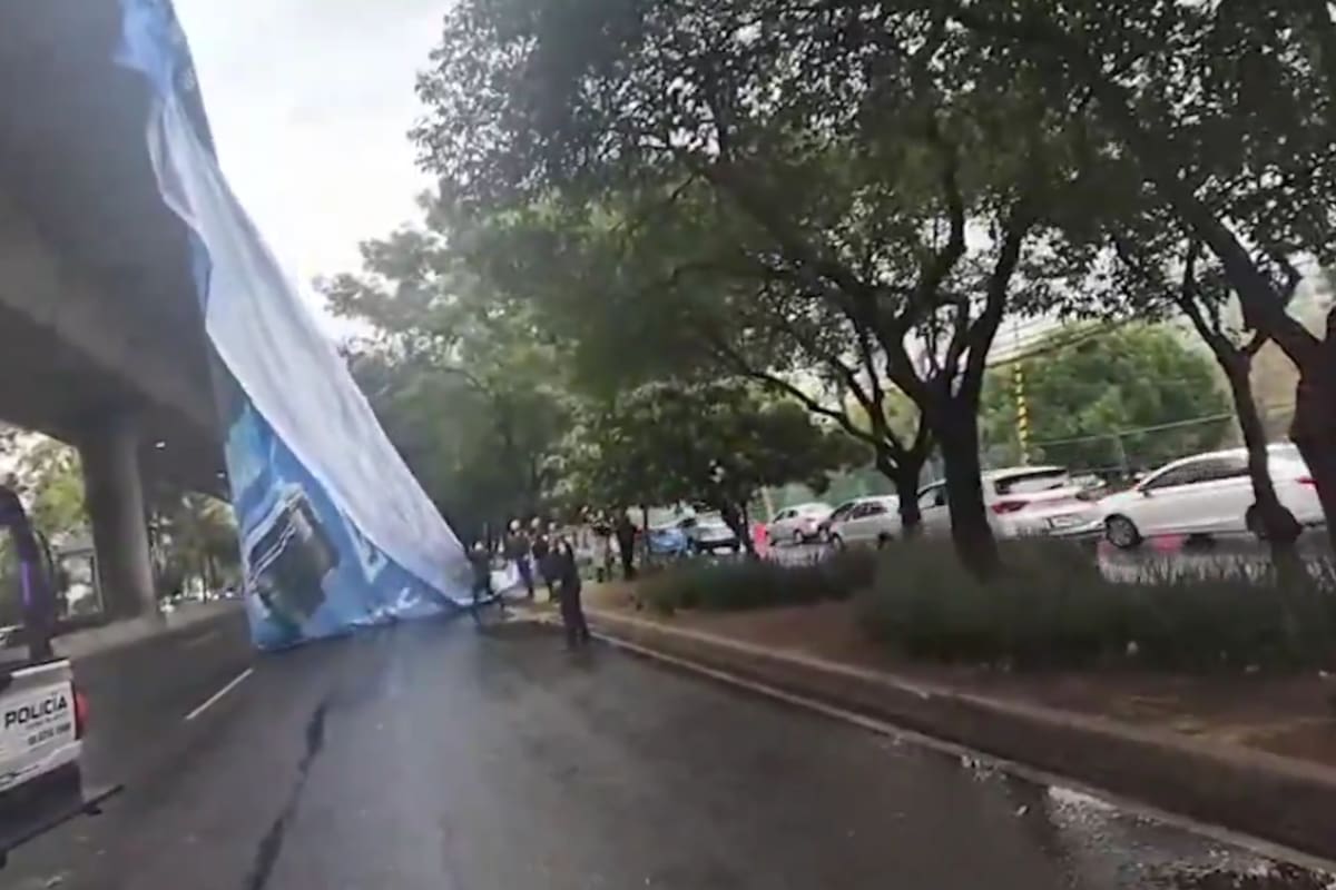 VIDEO: Lluvias y fuertes vientos provocan caída de árboles y afectaciones viales en CDMX