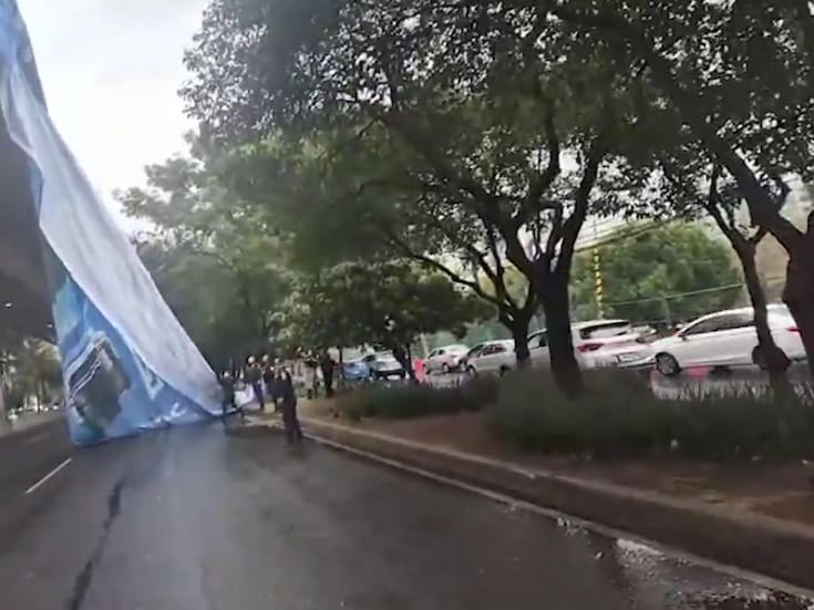 VIDEO: Lluvias y fuertes vientos provocan caída de árboles y afectaciones viales en CDMX