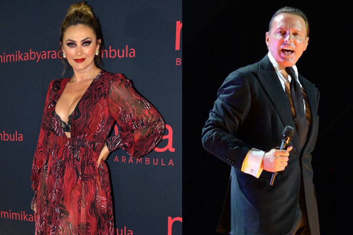 Pide Aracely Arámbula a Luis Miguel pasar tiempo con sus hijos