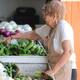 Inflación baja en Sonora por frutas, leche y huevo, pero hortalizas, luz y gas siguen presionando el gasto familiar
