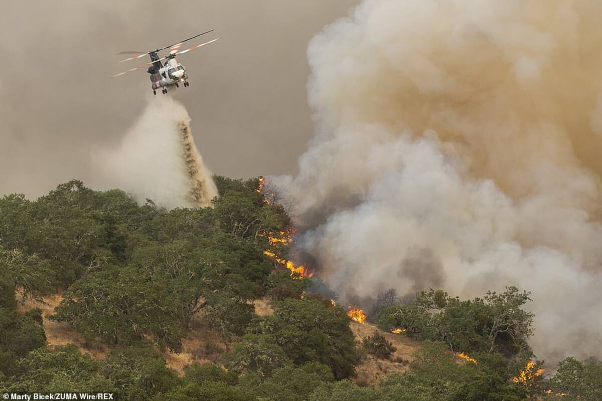 Muere piloto de helicóptero al combatir incendio en California tras choque