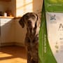 Mercado Libre rebaja el alimento Nupec Adulto de 20 kg a $1,949 pesos con envío gratis para ofrecer un ahorro del 20% en nutrición de alta gama