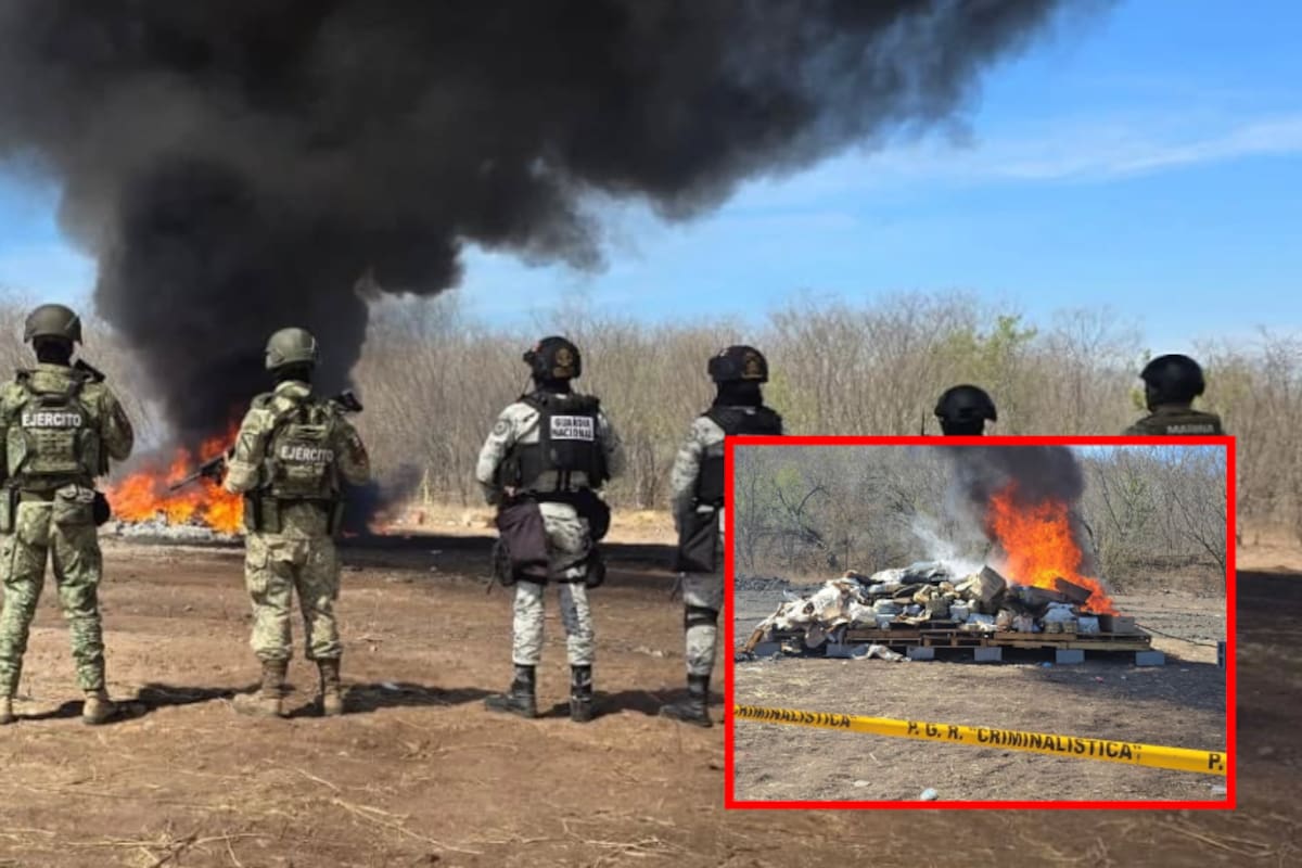 Destruyen más de 2 toneladas de droga y 281 litros de sustancias químicas en Sinaloa