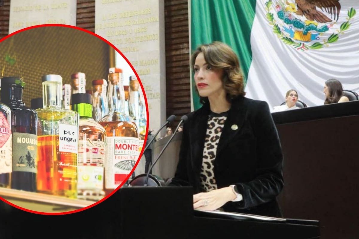 Diputada propone aumentar a 21 años la edad mínima para consumir alcohol