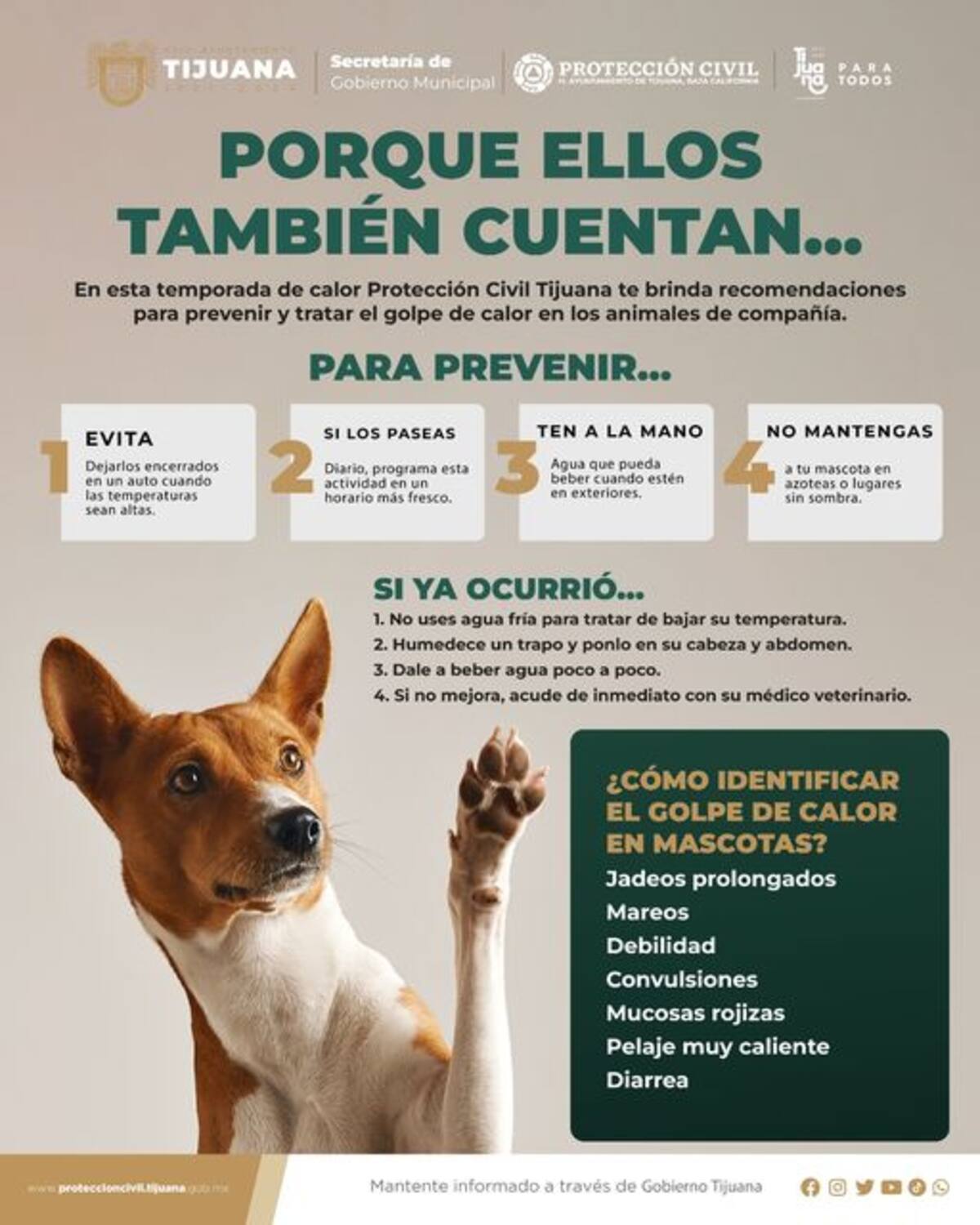 Protección Civil Tijuana emite recomendaciones para cuidar a las mascotas en época de calor.
