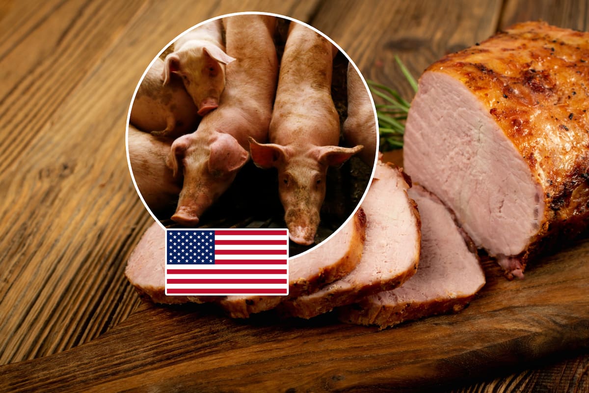México investigará a la carne de cerdo importada desde Estados Unidos, señalada por prácticas desleales