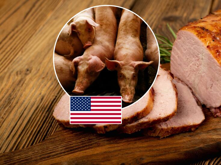México investigará a la carne de cerdo importada desde Estados Unidos, señalada por prácticas desleales