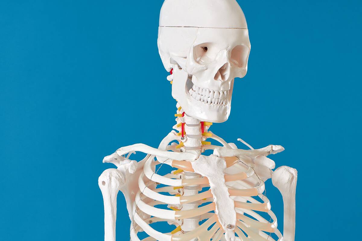 Así influye el sistema inmunológico en las emociones, según nuevos estudios