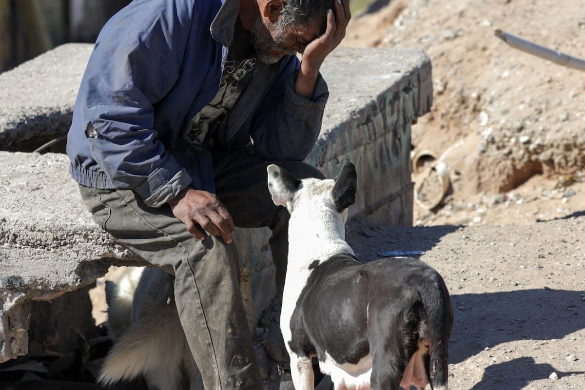 “Vaquita” y sus cachorros permanecen en santuario tras ser asegurados