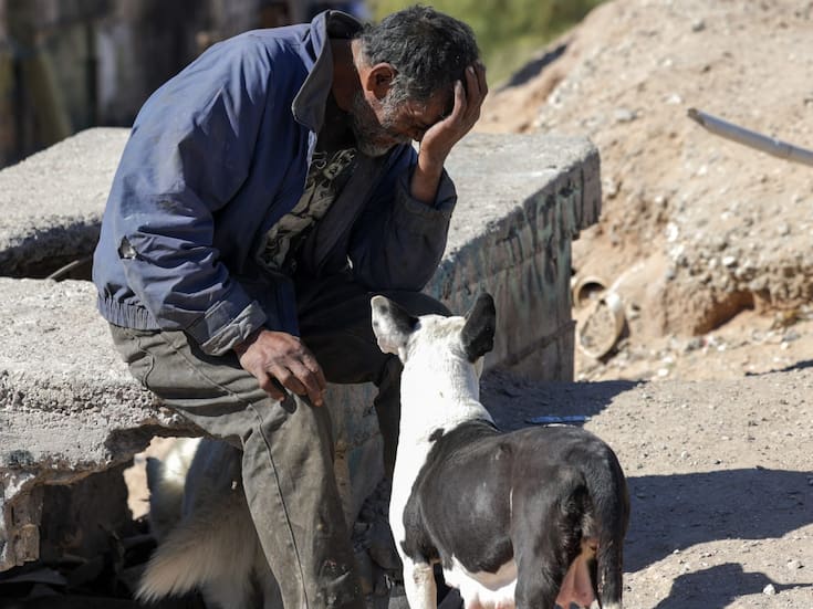 “Vaquita” y sus cachorros permanecen en santuario tras ser asegurados