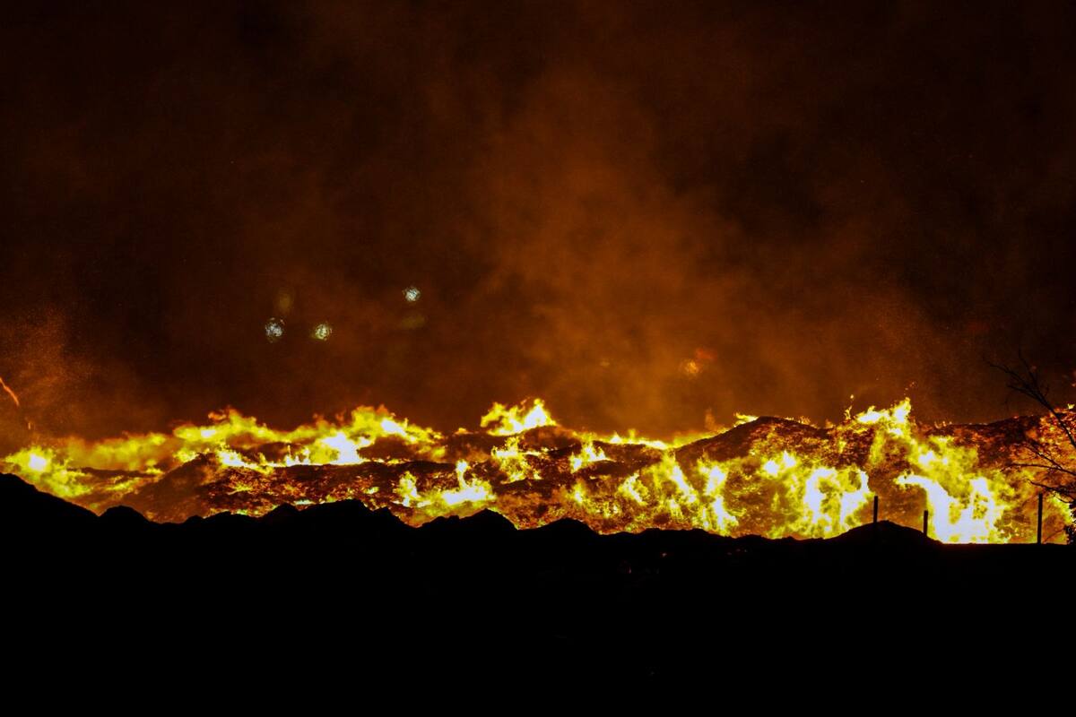 Solicitan recursos para restauración ambiental tras incendios en Baja California