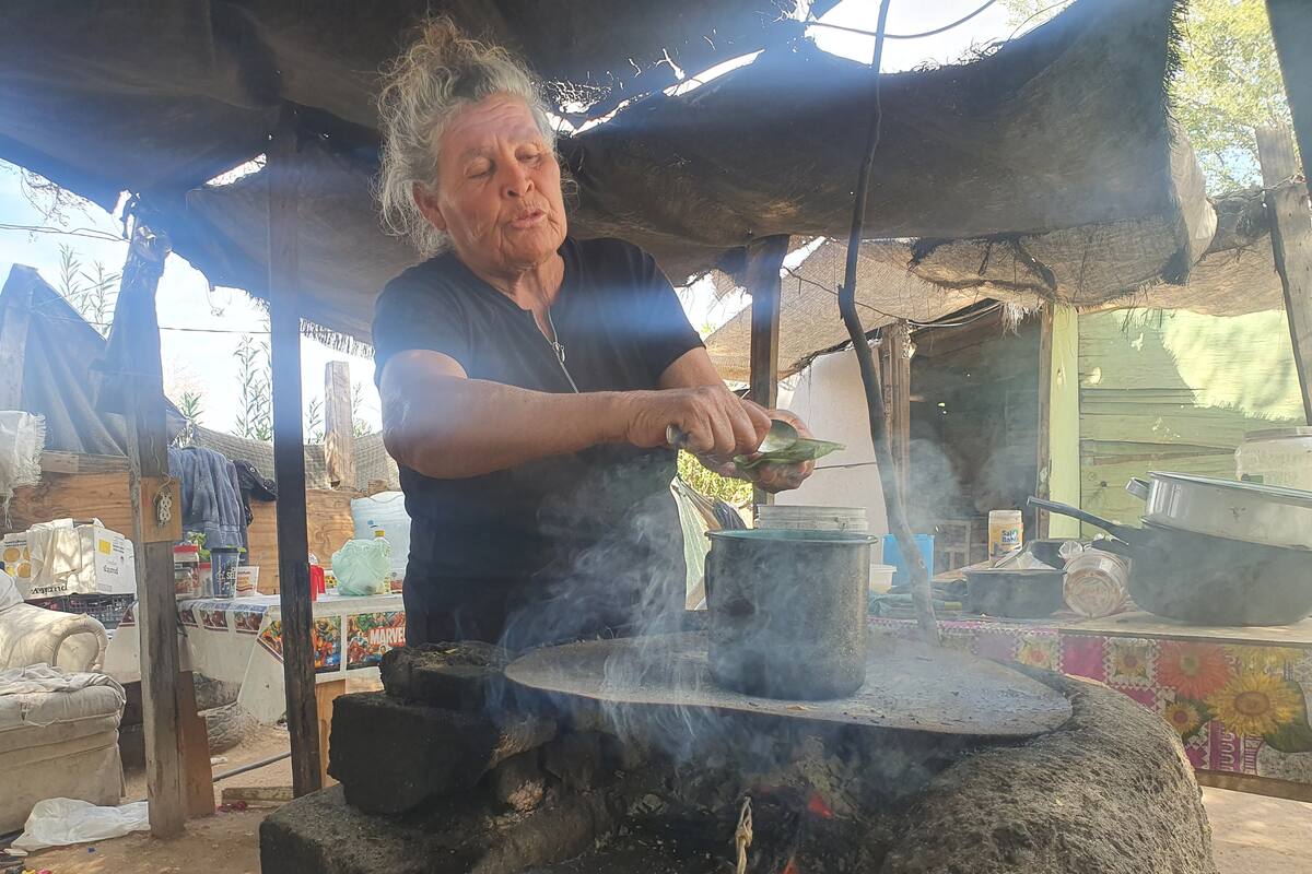 Abuelita lucha contra enfermedades para sacar adelante a su nieto