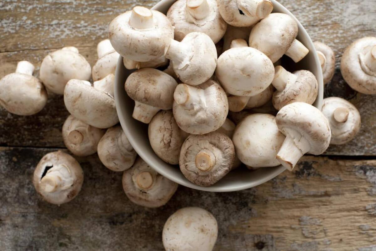 Descubre los beneficios de comer champiñones todos los días