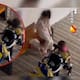 Horror en Hong Kong: niña de 8 años agrede brutalmente a un bebé y su madre es arrestada por abuso infantil