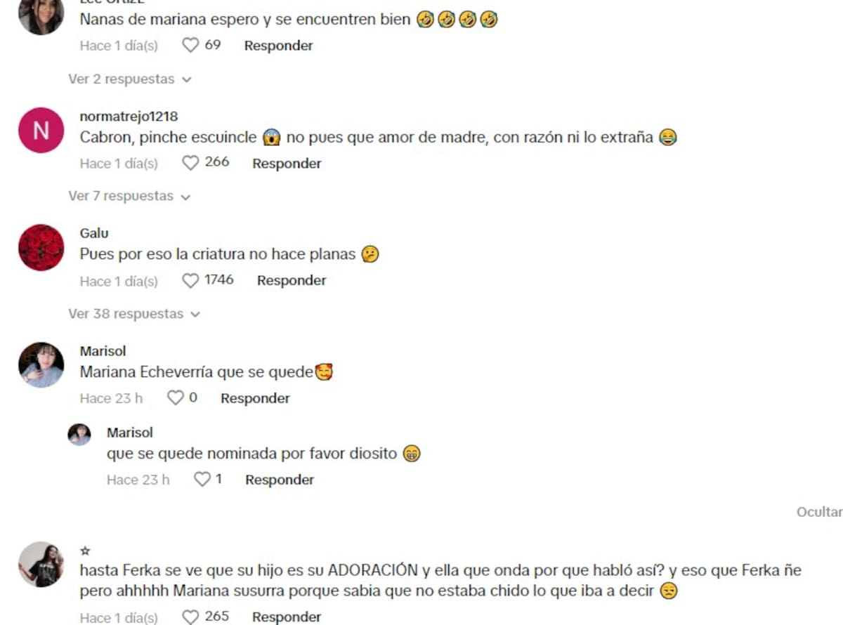 Critican a Mariana Echeverría por la forma en que se expresa de su hijo / Cuenta de TikTok: @lacasafamosmex