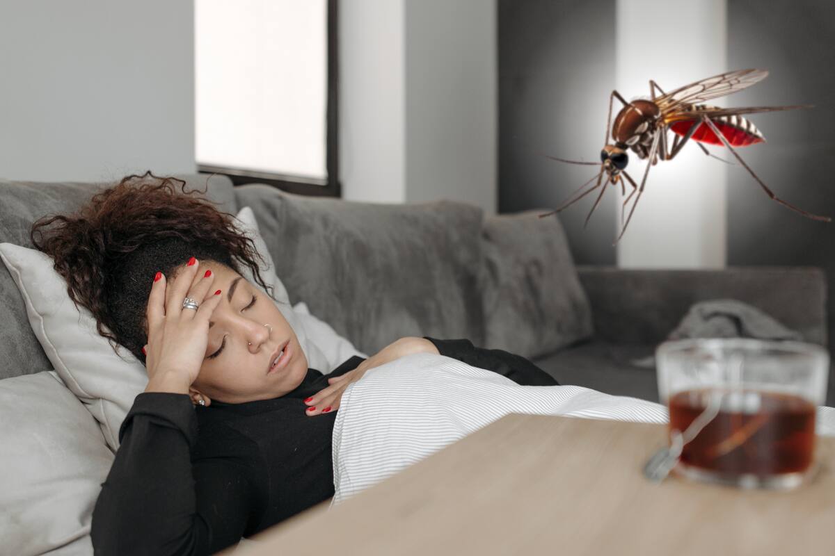 El virus del Nilo se expande este verano: ¿cómo protegerse?
