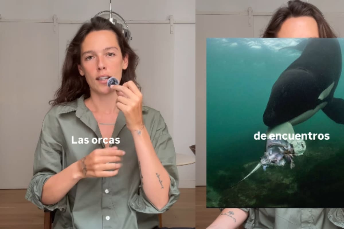 “¿Las orcas están ofreciendo comida a los humanos?” El extraño fenómeno que ha sido documentado en distintas partes del mundo y lo que explican los científicos al respecto