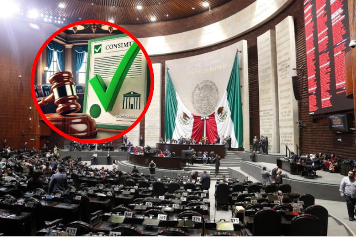 Cámara de Diputados aprueba reforma constitucional para prohibir el nepotismo electoral, pero la implementación será hasta 2030
