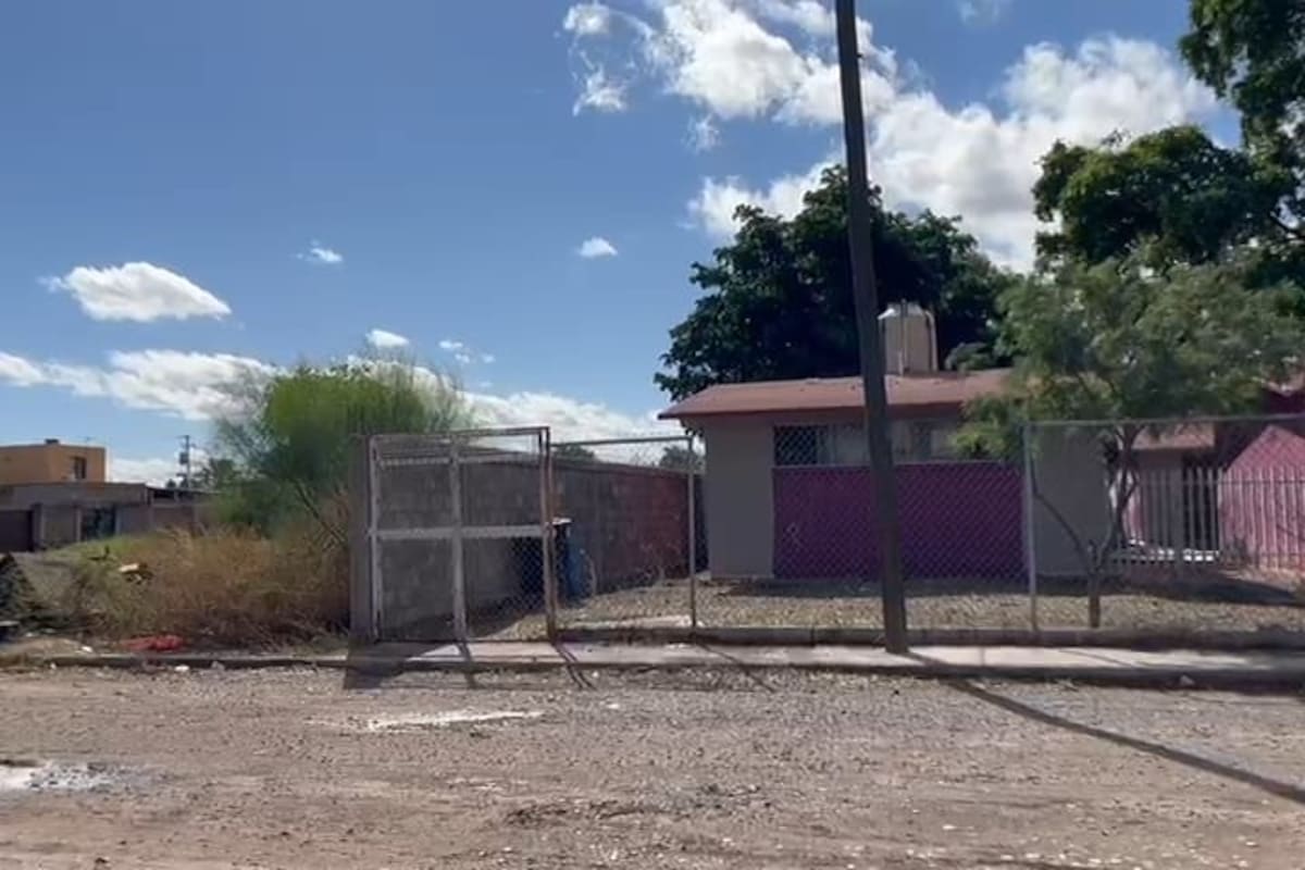 Necesario reforzar acciones contra el dengue alrededor de las escuelas : SEC