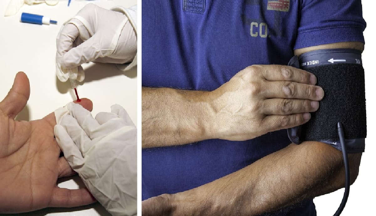 Lipfendra se une a esa proteína e impide que interfiera con los receptores de LDL. Al conservar más receptores disponibles, el hígado puede retirar una mayor cantidad de colesterol de la circulación. Foto: Pixabay/EFE.