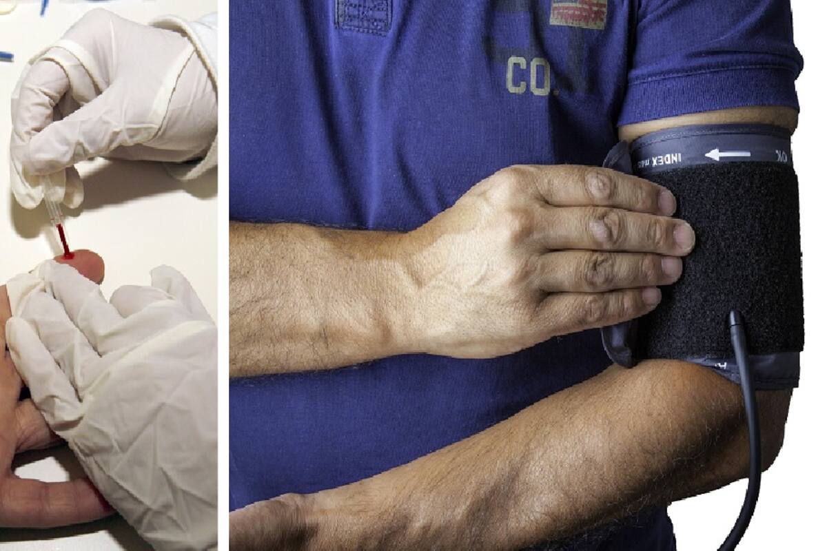 Nueva inmunoterapia revierte el daño cardíaco causado por colesterol alto, según estudio científico