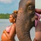“Miren su estómago, es el bebé quien juega con él”: elefante interactúa con una mujer embarazada y se vuelve viral