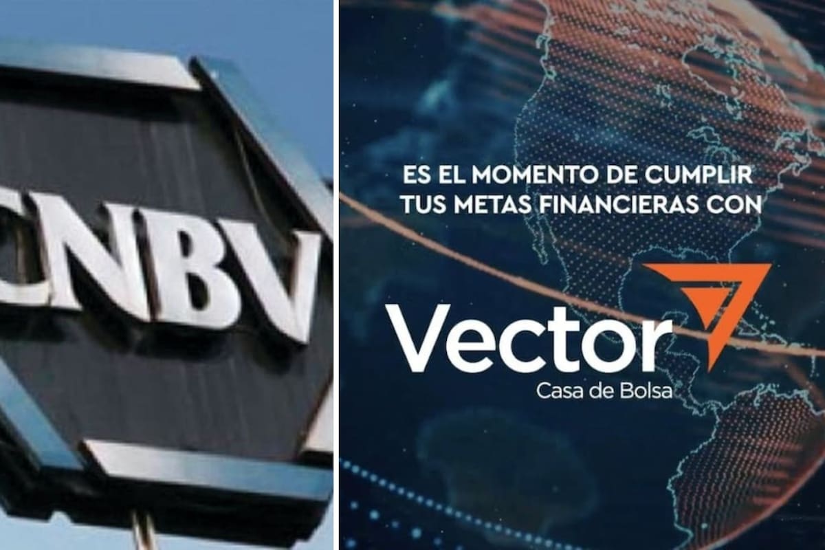 CNBV revoca licencias a Vector y ordena su salida del sistema financiero